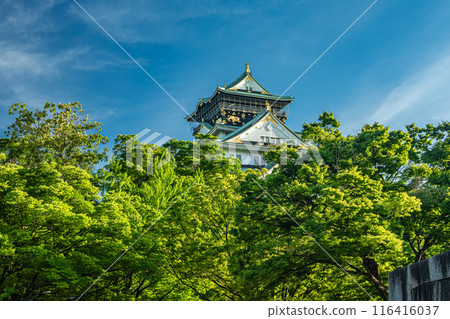 大阪城堡城堡塔 大阪城堡城堡塔 116416037