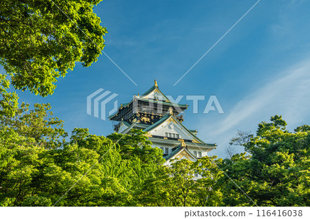 Osaka Castle castle tower 116416038