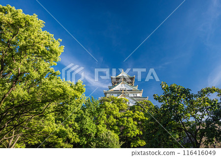 Osaka Castle scenery Osaka Castle scenery 116416049