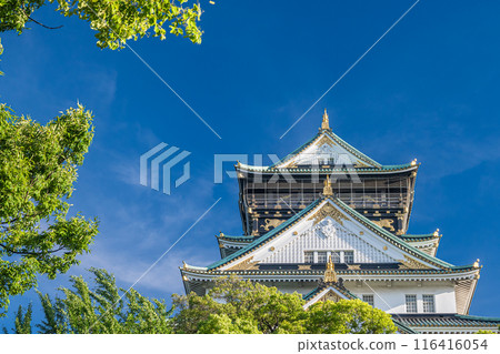 大阪城堡城堡塔 大阪城堡城堡塔 116416054