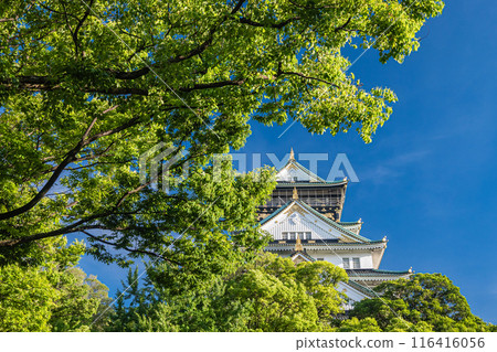 大阪城風景 116416056