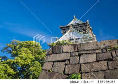 大阪城堡城堡塔 116416061