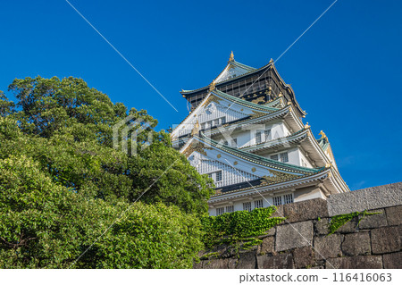 Osaka Castle scenery 116416063