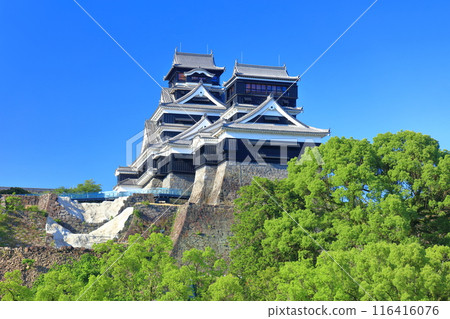 [Kumamoto Prefecture] Kumamoto Castle (main and small towers) on a clear day 116416076