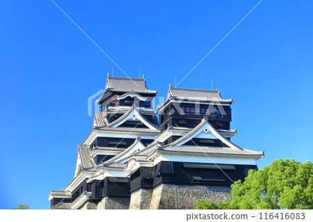 [熊本縣] 熊本城的晴空（大天守閣和小天守閣） 116416083