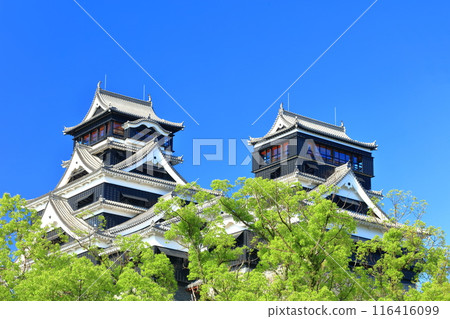 [Kumamoto Prefecture] Kumamoto Castle (main and small towers) on a clear day 116416099