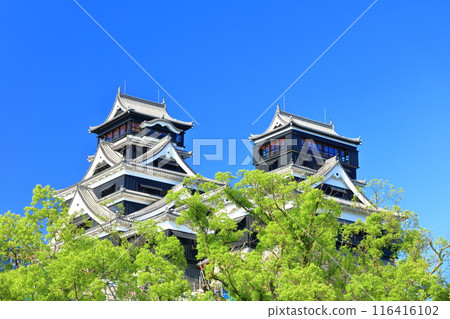 [Kumamoto Prefecture] Kumamoto Castle (main and small towers) on a clear day 116416102