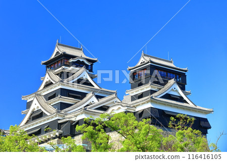 [Kumamoto Prefecture] Kumamoto Castle (main and small towers) on a clear day 116416105