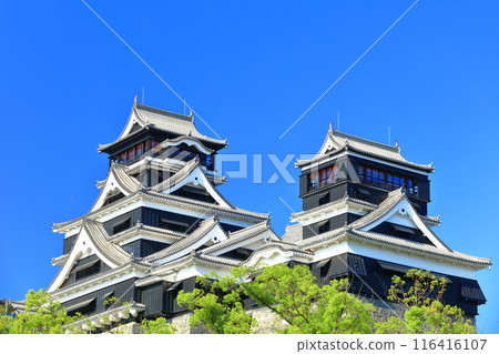 [熊本縣] 熊本城的晴空（大天守閣和小天守閣） 116416107