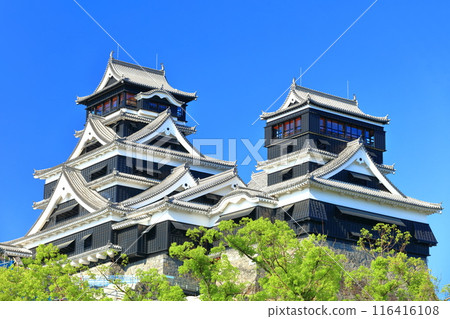 [Kumamoto Prefecture] Kumamoto Castle (main and small towers) on a clear day 116416108