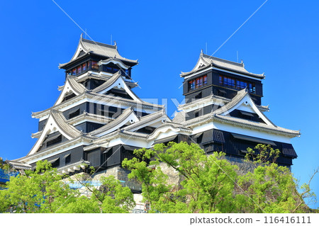 [Kumamoto Prefecture] Kumamoto Castle (main and small towers) on a clear day 116416111