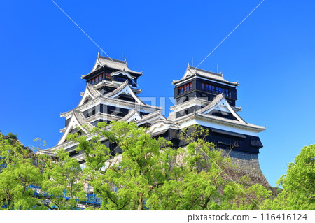 [熊本縣] 熊本城的晴空（大天守閣和小天守閣） 116416124