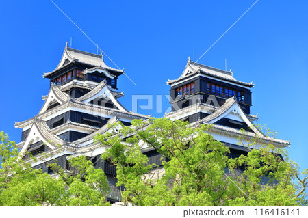 [熊本縣] 熊本城的晴空（大天守閣和小天守閣） 116416141