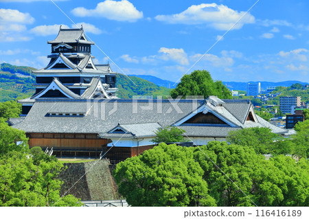 [Kumamoto Prefecture] Kumamoto Castle on a clear day (the castle tower and Honmaru Palace) 116416189