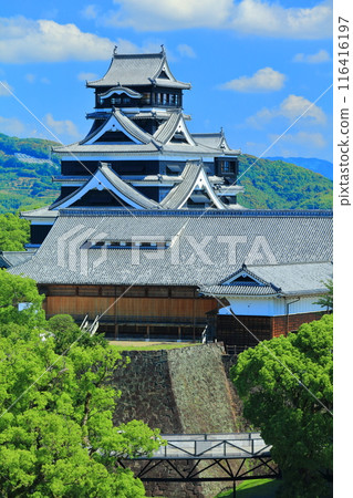 [Kumamoto Prefecture] Kumamoto Castle on a clear day (the castle tower and Honmaru Palace) 116416197