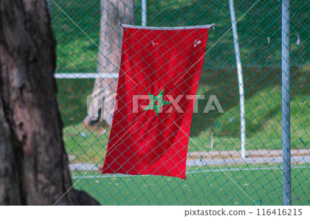 The red flag of the Kingdom of Morocco with a green five-pointed star in the center hangs on the fence of the playpen made of chain-link mesh, symbols of statehood, North Africa. 116416215