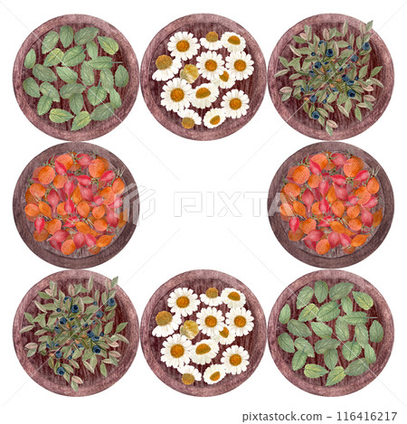 Different herbs, plants on plates frame. Lemon balm, chamomile, rose hips, blueberry watercolor art isolated on white. Hand painted great for packages, tea, infusions, recipes design, cards, logotype 116416217