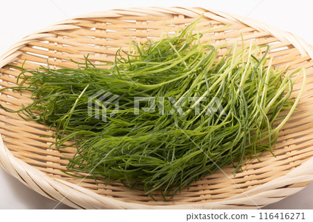 Okikiji Okikiji 116416271