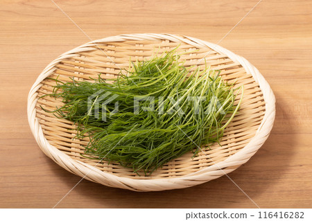 Okikiji Okikiji 116416282