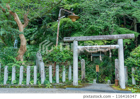 Kamo Shrine, located at the foot of a spring of pure water at Samegai-juku on the old Nakasendo road in Maibara city, Shiga prefecture 116416347