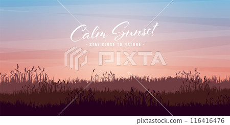 Meadow silhouettes with grass. Countryside, panoramic summer lawn rural landscape with herbs, weeds. Agriculture and farming. Summer sunset in nature, wildlife. Vector illustration 116416476