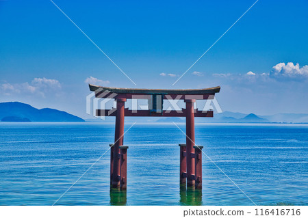 夏天的白須神社 夏天的白須神社 116416716