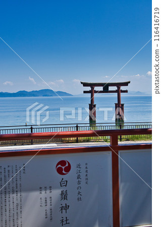 夏天的白須神社 夏天的白須神社 116416719