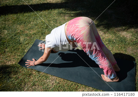 Woman practicing yoga in the park performing downward-facing dog pose on a sunny day 116417180