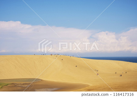 Tottori sand dunes 116417316