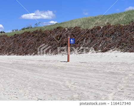 Sweeping view of the soft white sandy beach, dunes in Neringa, Nida Sweeping view of the soft white sandy beach, dunes in Neringa, Nida 116417340