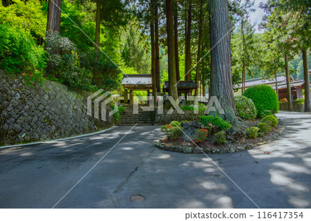 初夏的西福寺【鹽尻市】 116417354