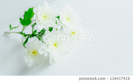 白花背景複製空間 116417418