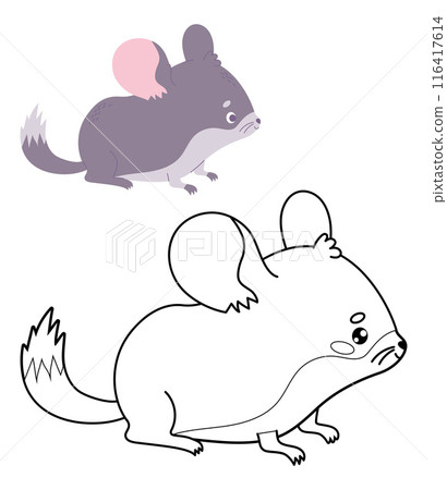 Cute chinchilla. Outline and color cartoon kawaii animal rodent character. Line drawing, coloring book. Vector illustration. Kids collection 116417614
