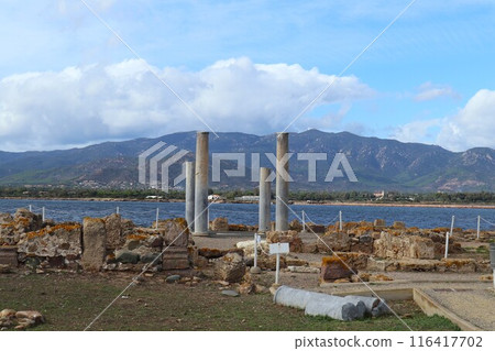 撒丁島諾拉的寺廟遺址 116417702