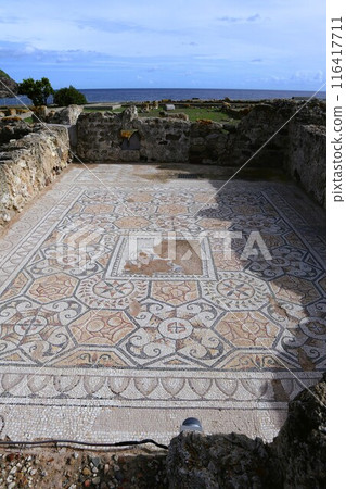 Mosaics from Nora ruins, Sardinia 116417711