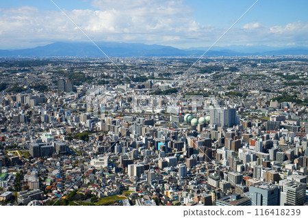 View of Yokohama from the Landmark Tower 116418239