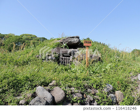 Nara Tomb Group: Tomb No. 2 116418246