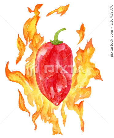 Habanero and flames, super spicy, watercolor illustration 116418376