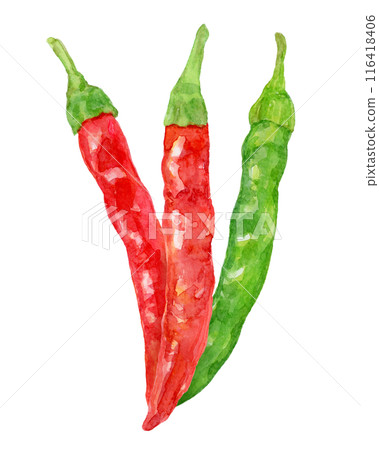 Two-colored chili pepper watercolor illustration 116418406