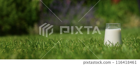 A glass of milk on a grassy lawn in a backyard, with a blurred green background. A glass of milk on a grassy lawn in a backyard, with a blurred green background. 116418461