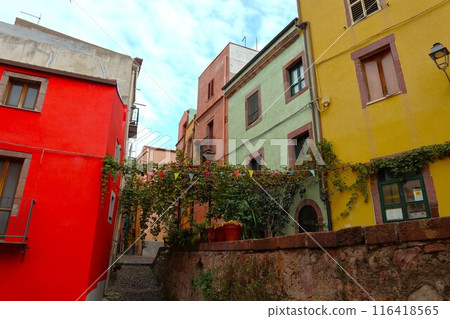 Old town of Bosa, Sardinia 116418565