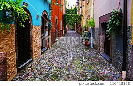 Old town of Bosa, Sardinia 116418568