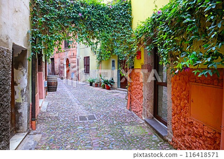 Old town of Bosa, Sardinia 116418571