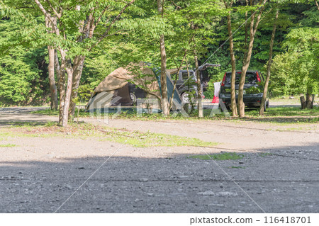 [Auto campsite: Set up in the woods] 116418701