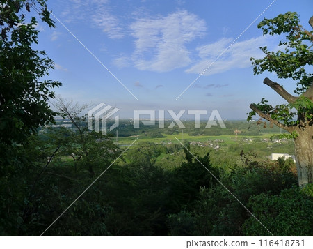 四山城（埼玉縣小川町） 116418731