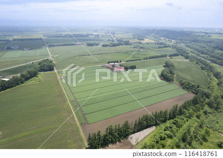 北海道十勝平原鹿追公園地區（空拍） 116418761