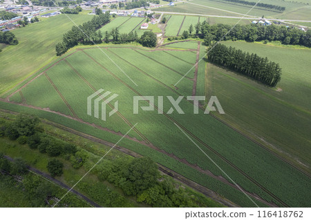 Hokkaido Tokachi Plain Shikaoi Park area (aerial view) 116418762