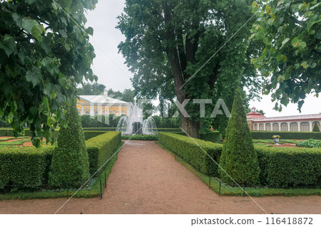 view to the Monplaisir Palace of Peterhof, Saint-Petersburg 116418872