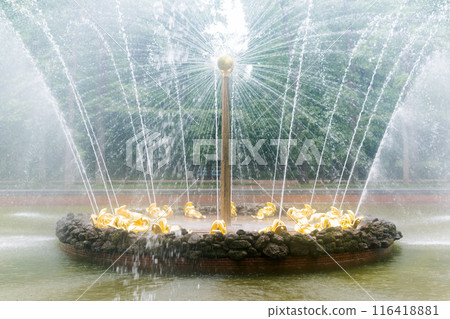 fountain The Sun in Peterhof park, Saint-Petersburg 116418881