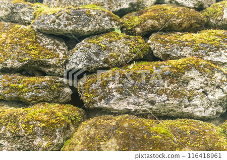 Stone wall covered with green moss and lichen. Natural background. Stone wall covered with green moss and lichen. Natural background. 116418961